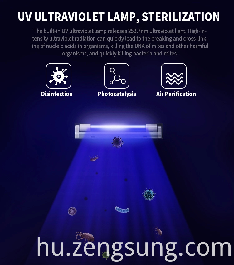 UV Lamp